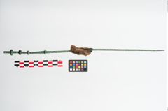 Foto von Bronzemehrkopfnadel (NHMW-PRAE-024286)